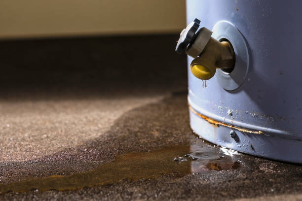 Best Flood restoration services  in Ewa Beach, HI