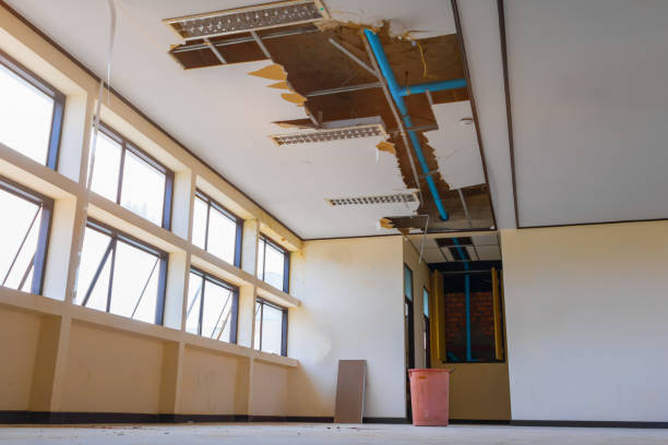 Best Water damage restoration near me  in Ewa Beach, HI