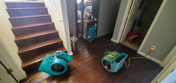 Local water damage restoration in HI