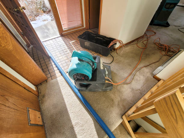 Best Water damage restoration near me  in Ewa Beach, HI