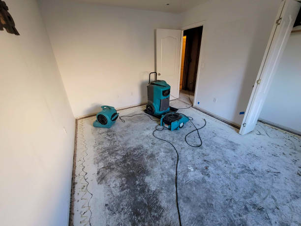 Best Mold removal after water damage  in Ewa Beach, HI
