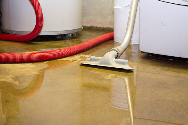 Best Water damage restoration near me  in Ewa Beach, HI