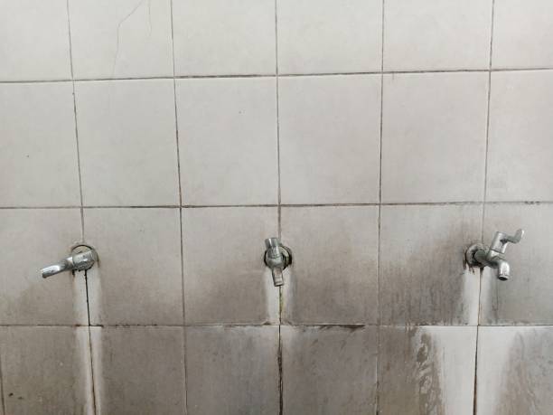 Best Water damage restoration near me  in Ewa Beach, HI