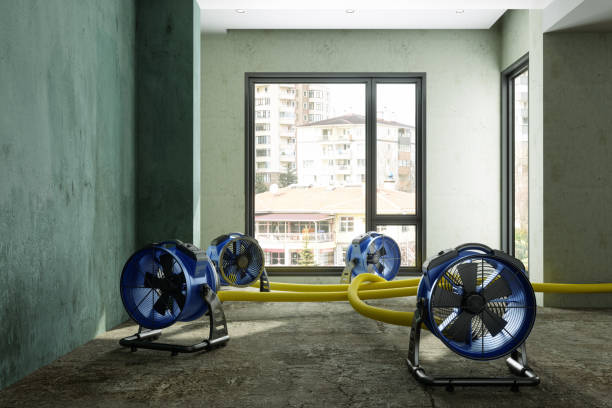 Best Water damage restoration near me  in Ewa Beach, HI